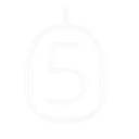Mouse 5